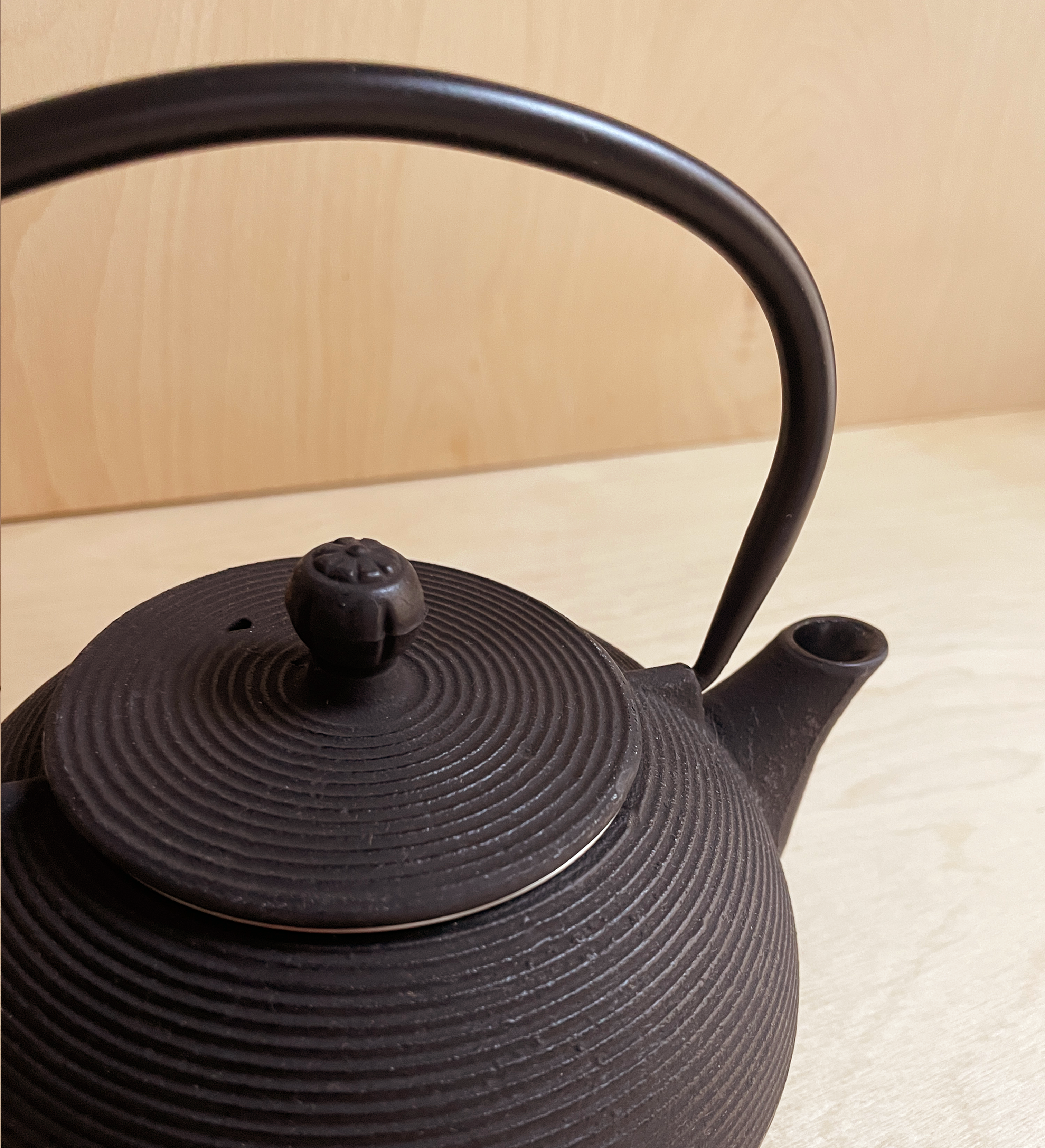 Cast Iron Teapot - Round
